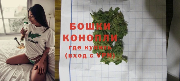 спиды Горно-Алтайск