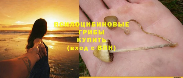 прущие крисы Горнозаводск