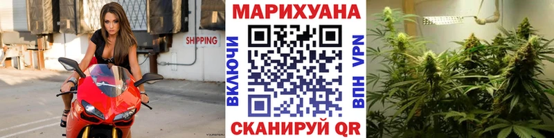 купить   дарк нет наркотические препараты  мега   Бошки Шишки марихуана  Железногорск 